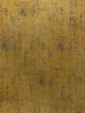 Gold Black AL07