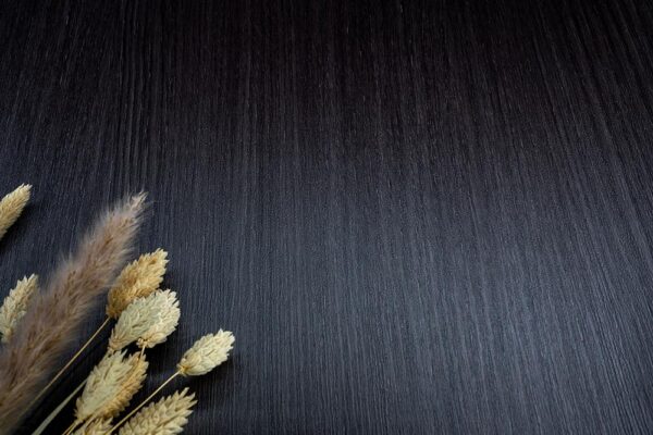 Castagno Caducci F7 - Wood Dark - Image 5
