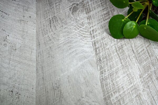 Patina G6 - Wood Medium - Image 7