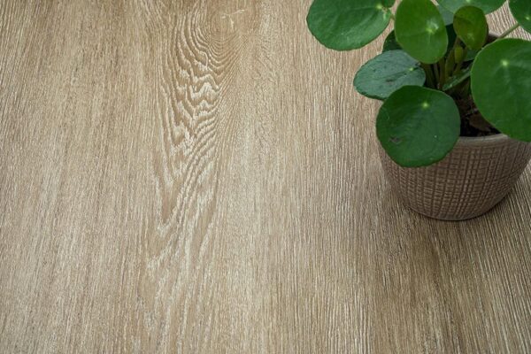 Bleached Bronze Oak NF43 - Wood Medium - Image 4